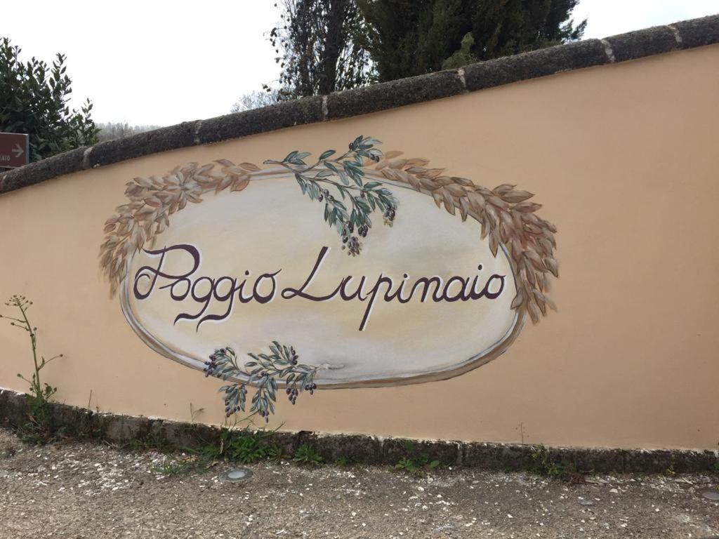 Podere Poggio Lupinaio San Martino sul Fiora Luaran gambar